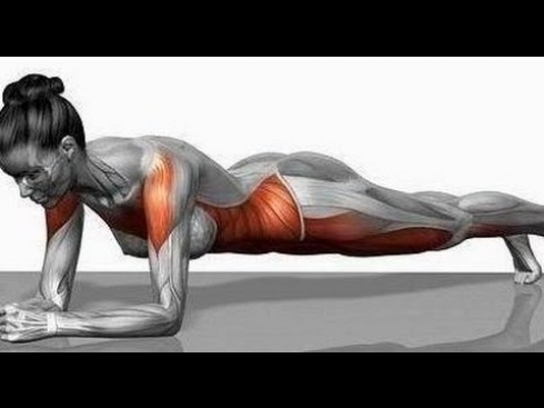 Planks